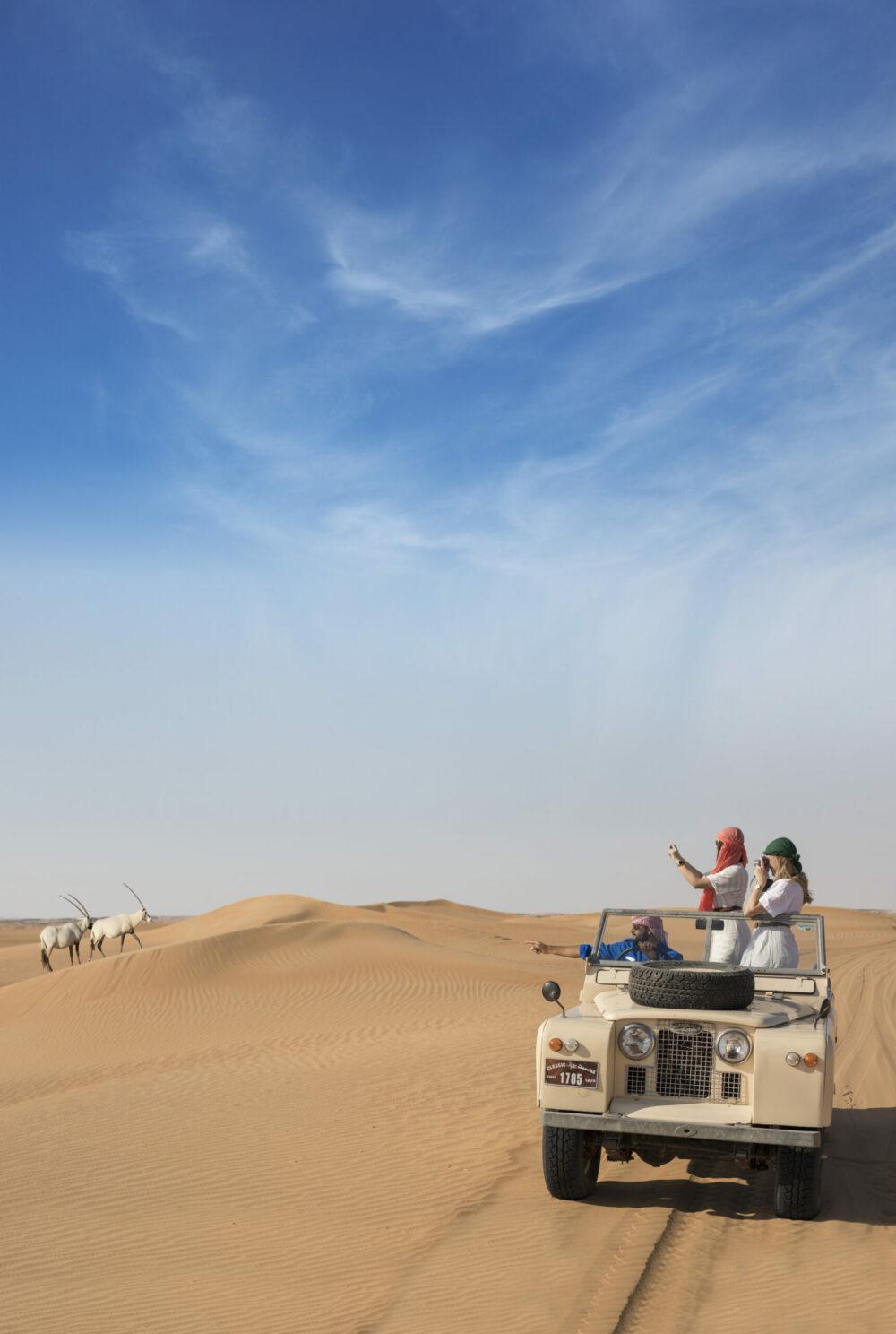 Safari Nature et Fauconnerie à dubai – Image 7