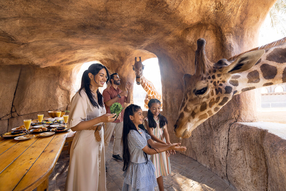 petit déjeuner avec les girafes à Abu dhabi